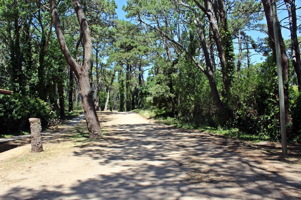 Ramma Camping Hostel Вила Гесел Екстериор снимка